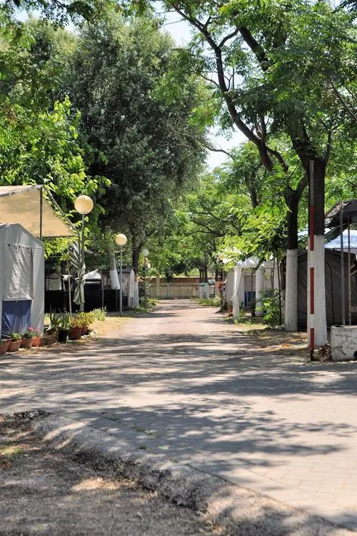 camping-los-llanos-dnia-i8fer