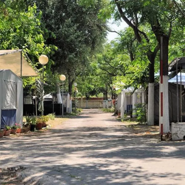 camping-los-llanos-dnia-i8fer