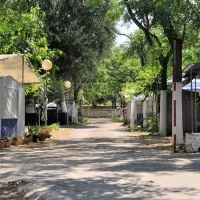 camping-los-llanos-dnia-i8fer