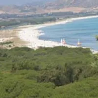 Campeggio La Mandragola