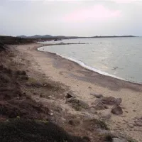 campeggio-ecologico-marina-delle-rose-aglientu-xhvww