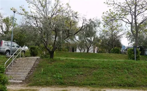 camping-zelena-laguna-porec-79bxi