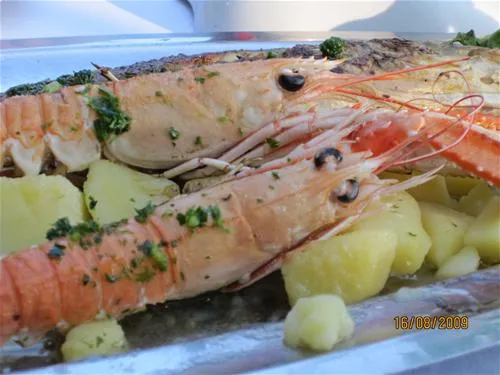camping-zelena-laguna-porec-igta1