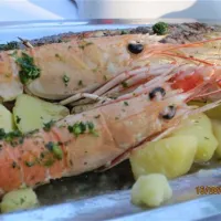 camping-zelena-laguna-porec-igta1