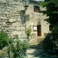 camping-zelena-laguna-porec-mxhlc