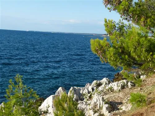 camping-zelena-laguna-porec-n5jnb