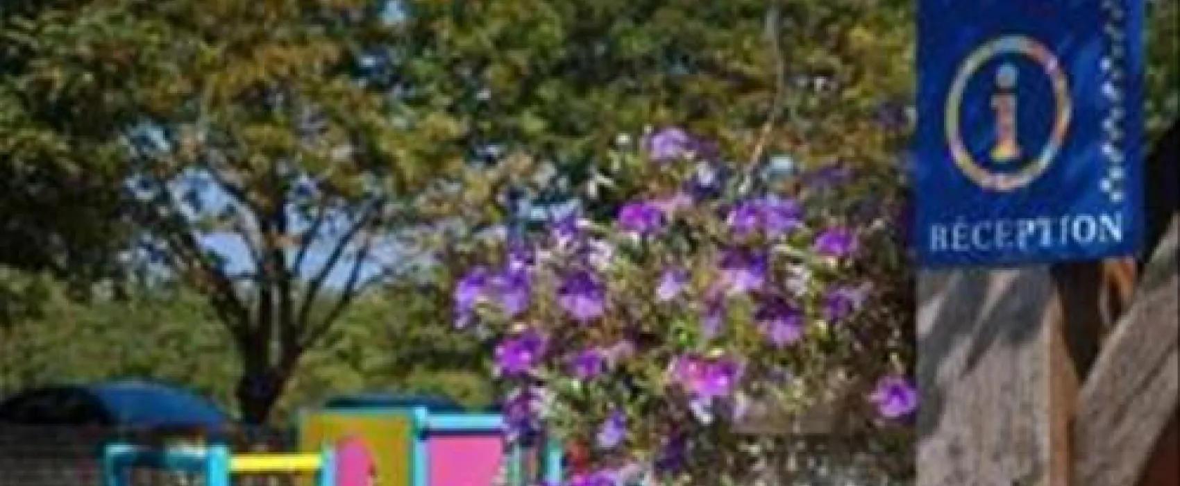 Flower Camping Bel Air