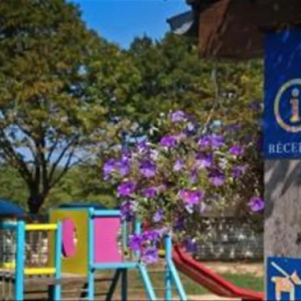 flower-camping-bel-air-la-flotte-en-r-wgyxp
