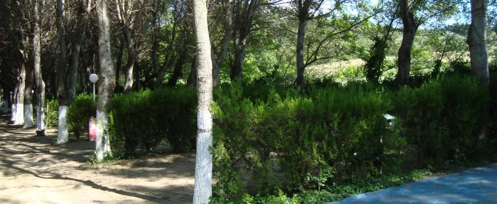 Campsite Delfini