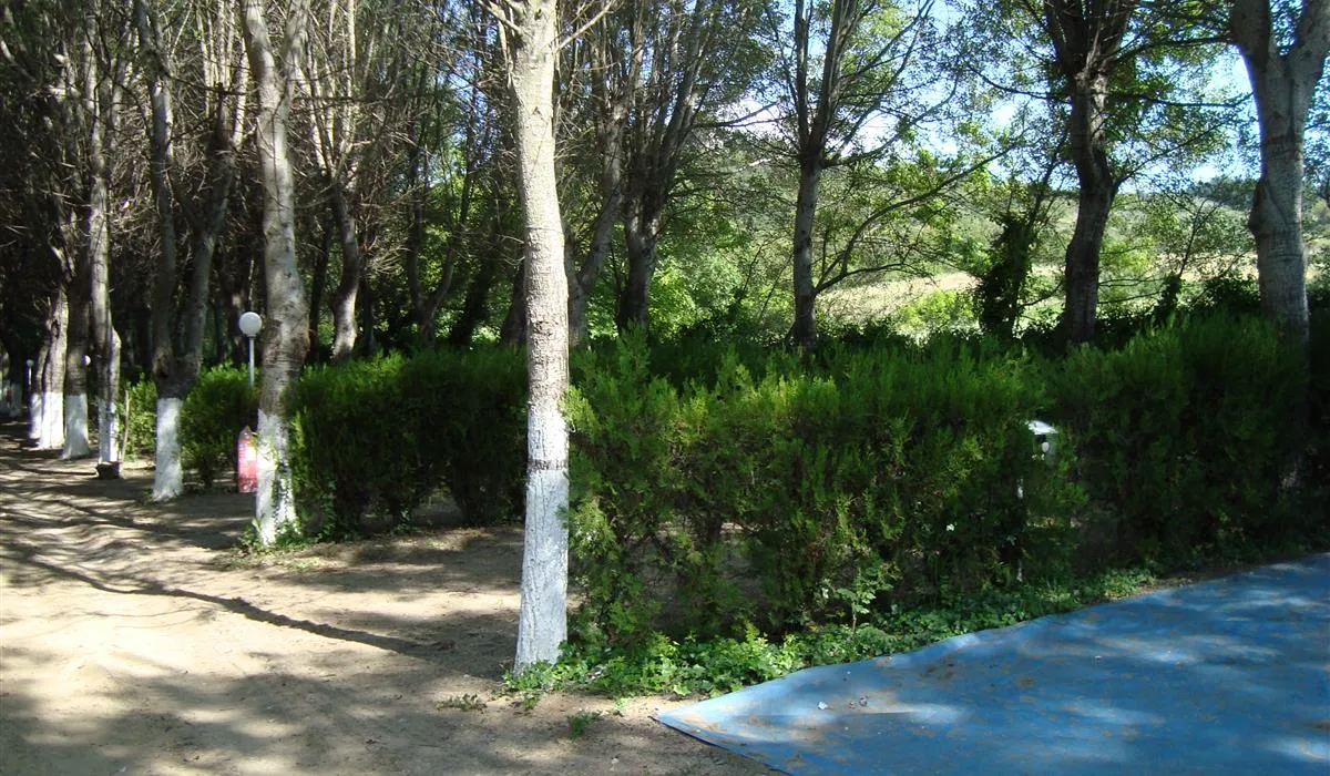 campsite-delfini-ierissos-pbprb