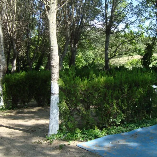 campsite-delfini-ierissos-pbprb