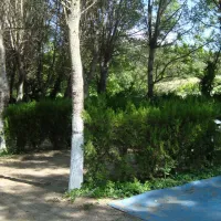 Campsite Delfini