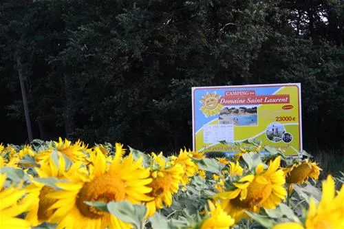 camping-domaine-saintlaurent-montferrand-8abdd
