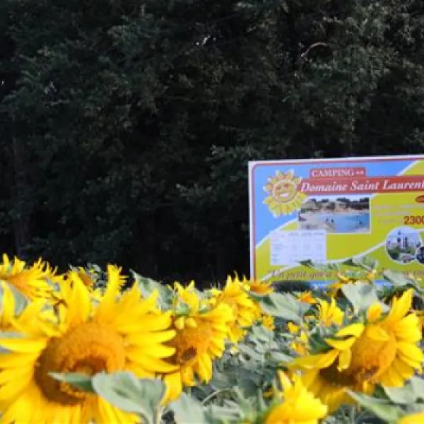 camping-domaine-saintlaurent-montferrand-8abdd