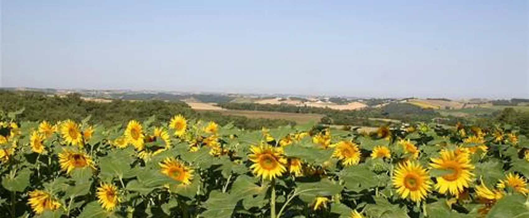 Camping*** Domaine Saint-laurent  