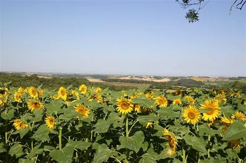 camping-domaine-saintlaurent-montferrand-zdqq2