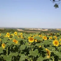 camping-domaine-saintlaurent-montferrand-zdqq2