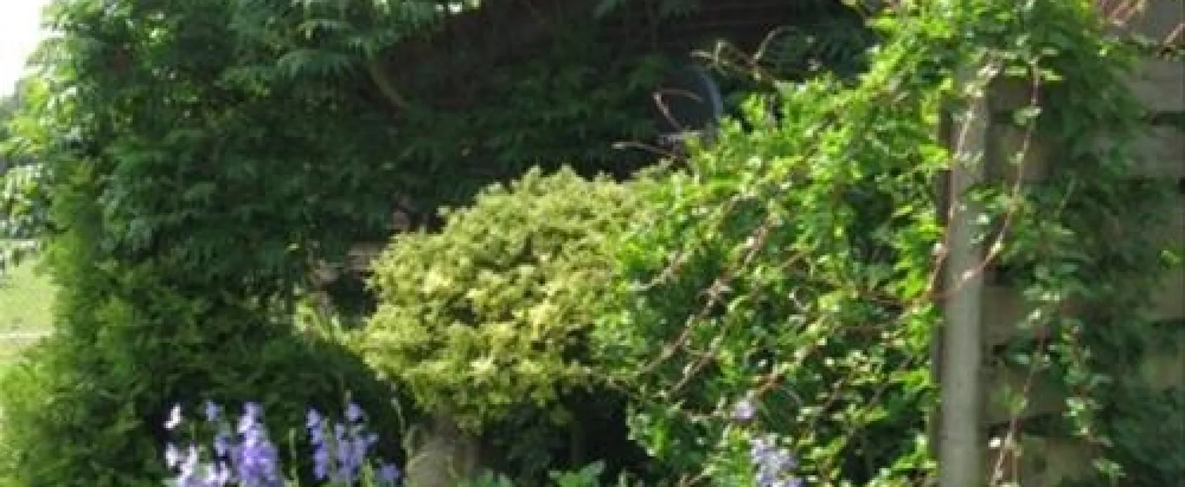 Camping De Peelweide