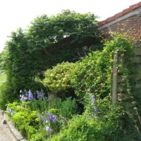 Camping De Peelweide