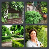 camping-de-peelweide-grashoek-hw6uq