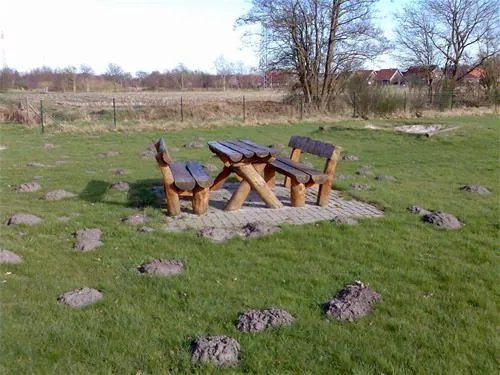 friesland-camping-schortens-bombt