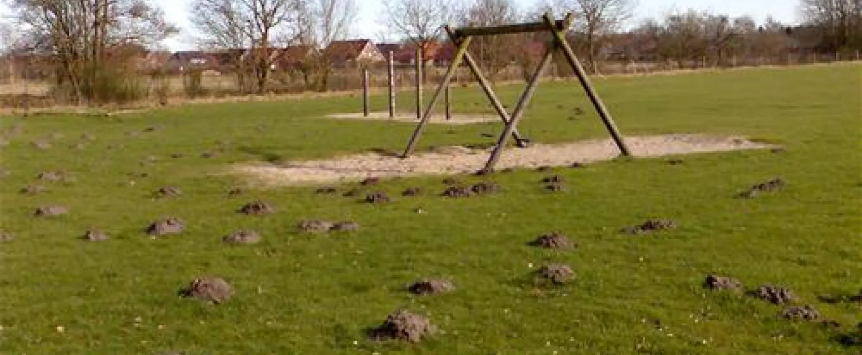 Friesland Camping