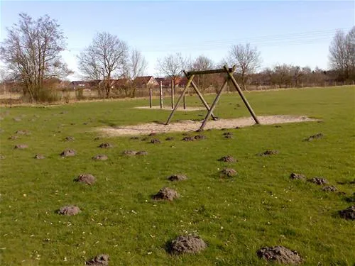 friesland-camping-schortens-nkenw
