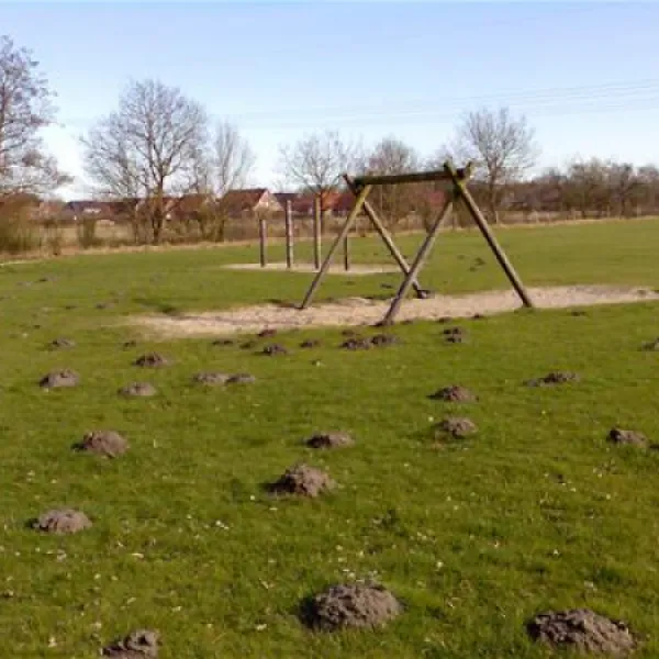 friesland-camping-schortens-nkenw