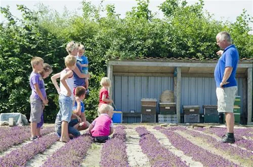 minicamping-boogaard-zoutelande-tb7sn