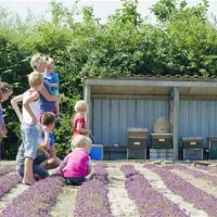 minicamping-boogaard-zoutelande-tb7sn