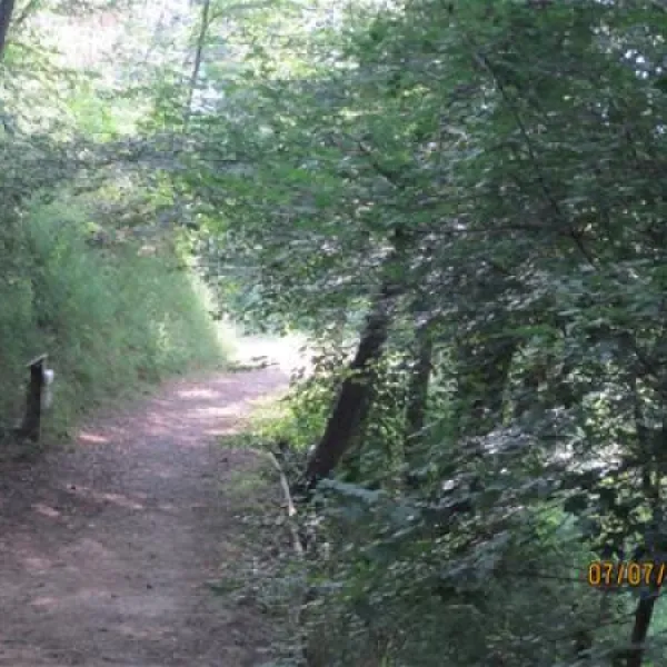 camping-besalu-besalu-gxrhk
