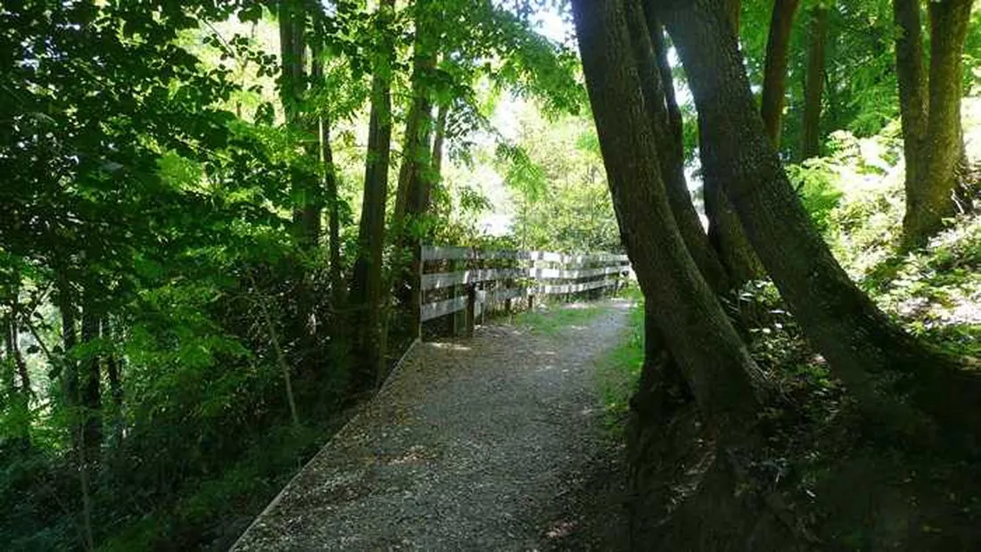 camping-besalu-besalu-ojmii