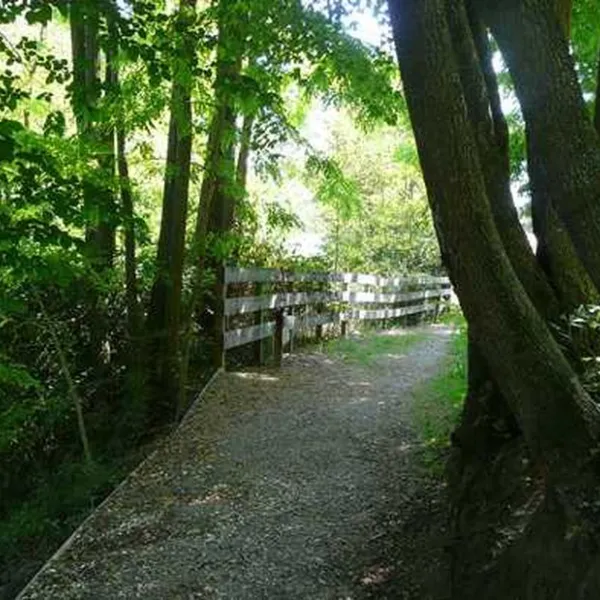 camping-besalu-besalu-ojmii