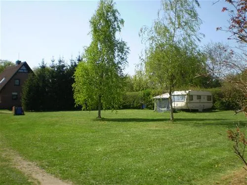 campingplatz-am-ruppiner-see-wustrau-zcbob