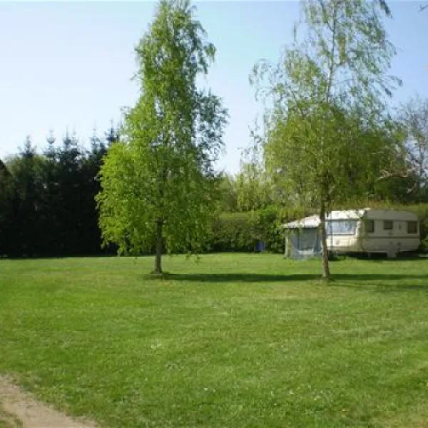 campingplatz-am-ruppiner-see-wustrau-zcbob