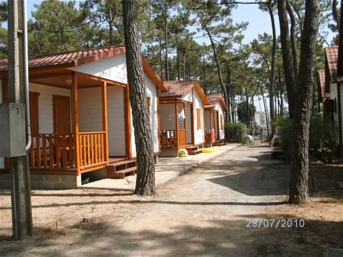 parque-de-campismo-da-campifrias-vila-n-de-milfontes-4jbkp
