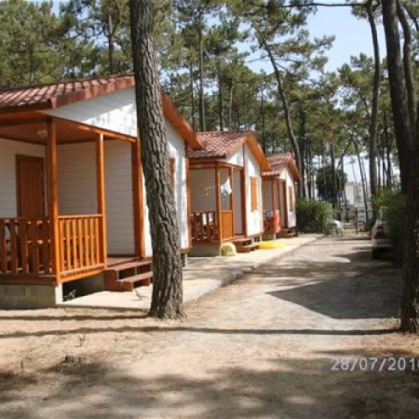 parque-de-campismo-da-campifrias-vila-n-de-milfontes-4jbkp