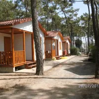 parque-de-campismo-da-campifrias-vila-n-de-milfontes-4jbkp