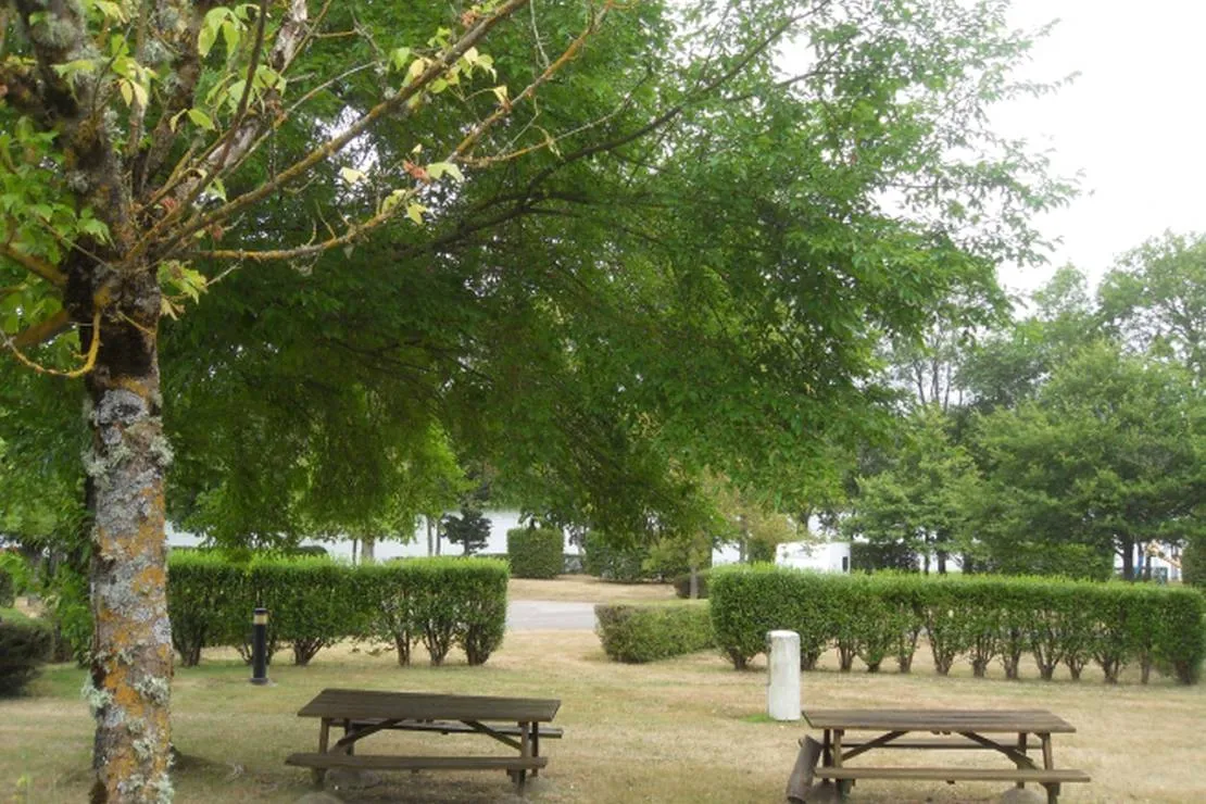camping-municipal-dherculat-treignat-0ty51