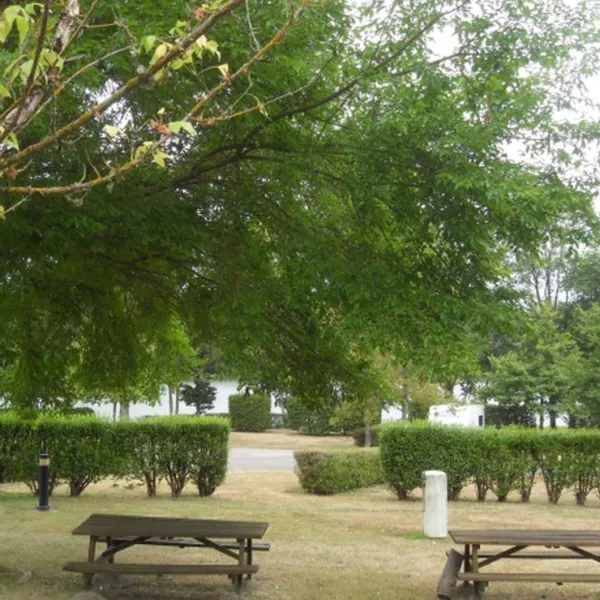 camping-municipal-dherculat-treignat-0ty51
