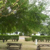 camping-municipal-dherculat-treignat-0ty51