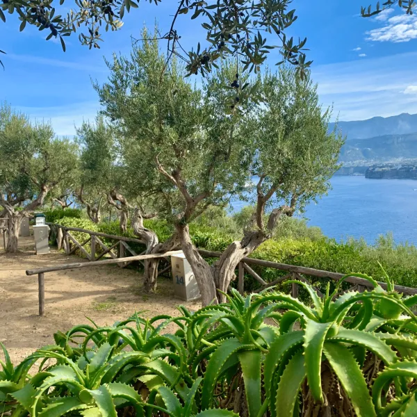 santa-fortunata-campo-gaio-sorrento-5gb2l