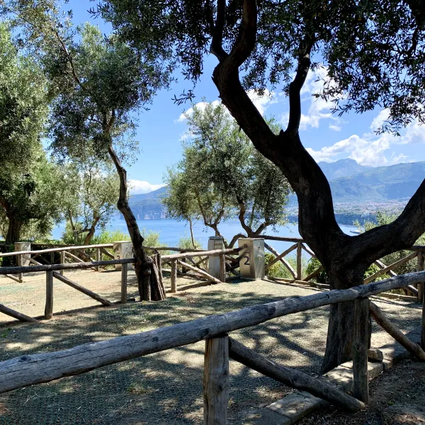 santa-fortunata-campo-gaio-sorrento-dz1qn