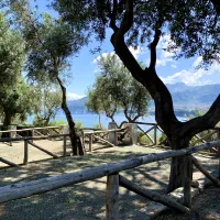 santa-fortunata-campo-gaio-sorrento-dz1qn