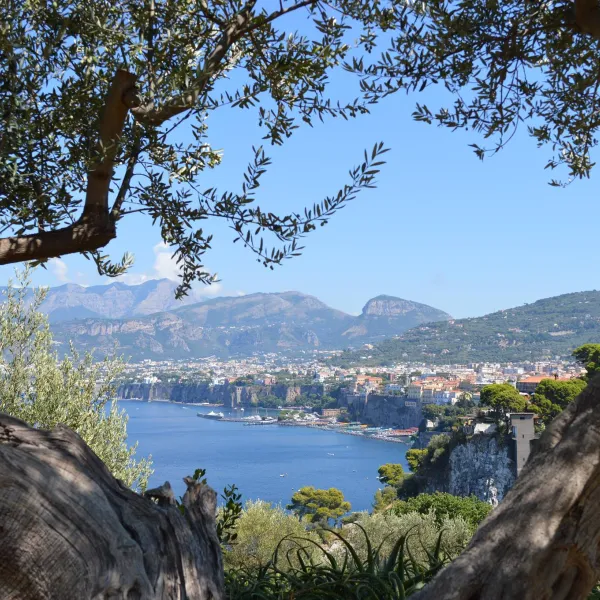 santa-fortunata-campo-gaio-sorrento-kowoy