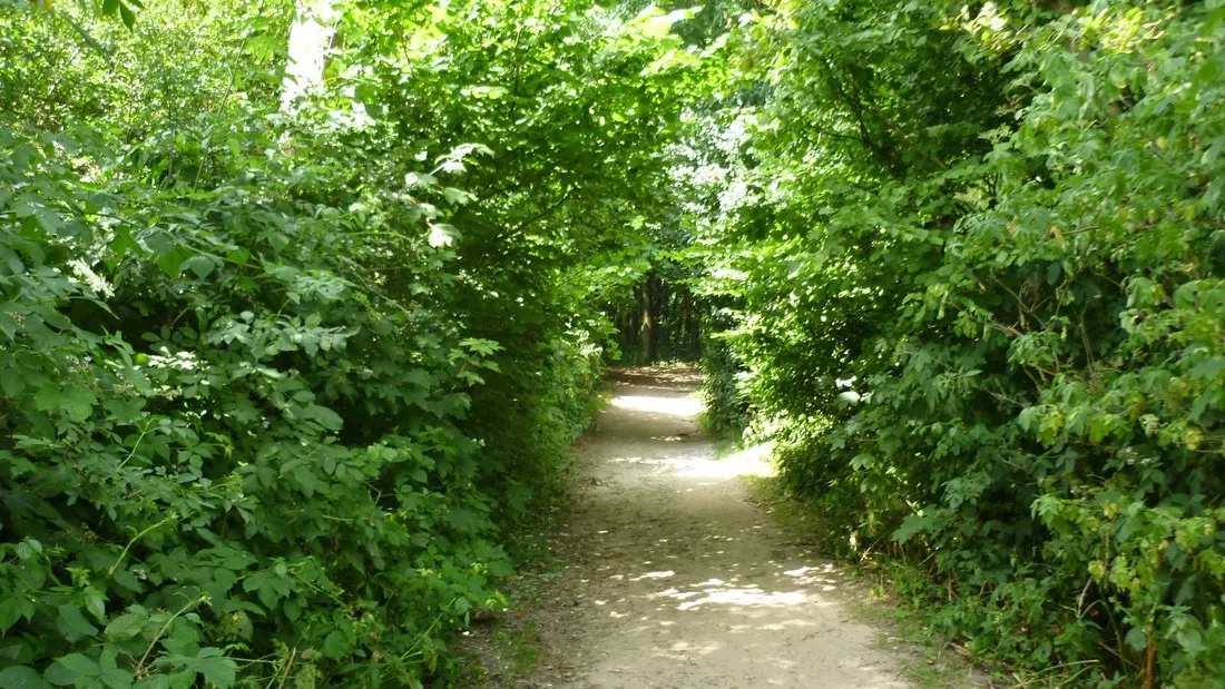 camping-falckenstein-kielfriedrichsort-kkpss