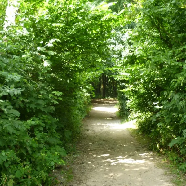 camping-falckenstein-kielfriedrichsort-kkpss