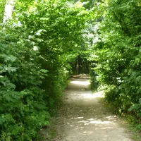 camping-falckenstein-kielfriedrichsort-kkpss