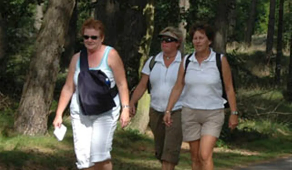 camping-de-zwarte-bergen-luyksgestel-dvhdp