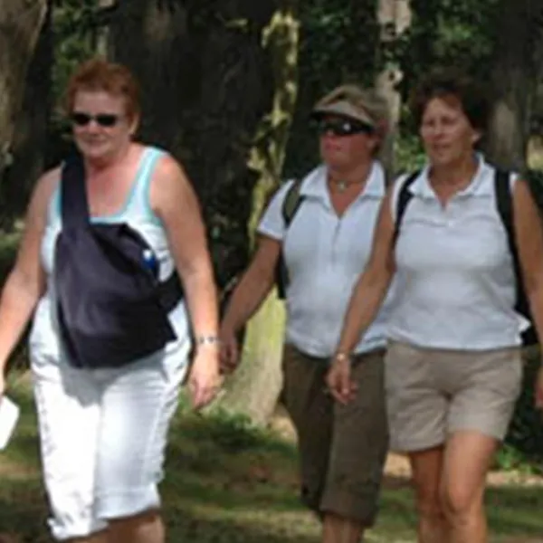 camping-de-zwarte-bergen-luyksgestel-dvhdp